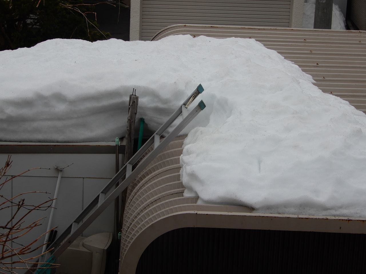 急速な雪どけ_c0025115_21134456.jpg