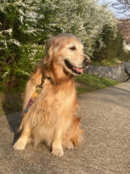 spring has come_a0098418_16244389.jpg