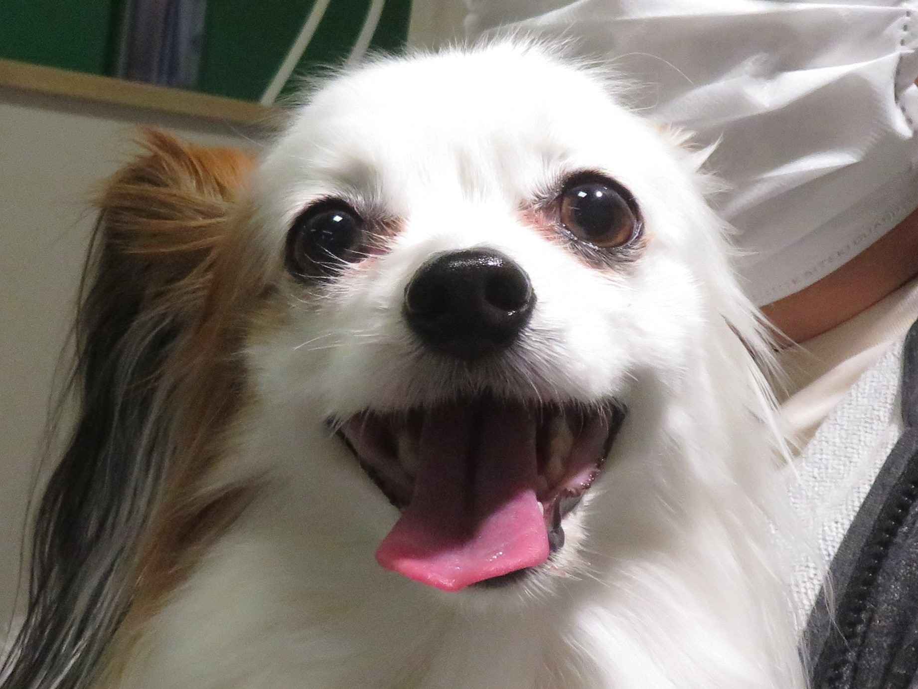 3 月 26 日の写真_c0174644_13255971.jpg