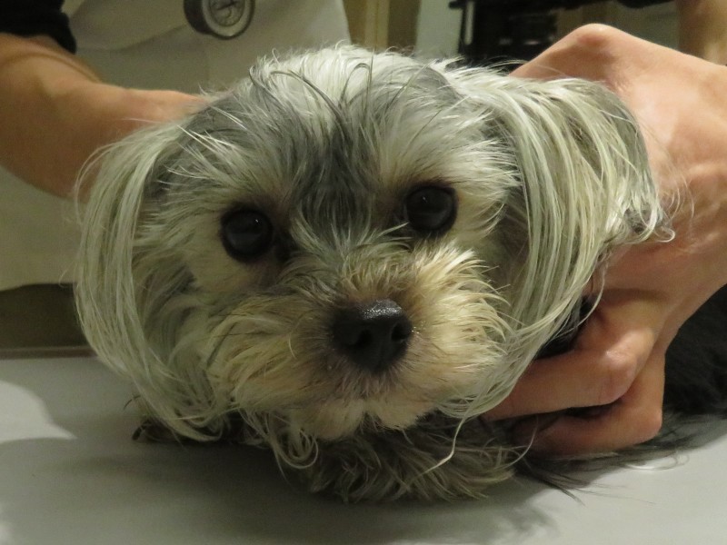 3 月 26 日の写真_c0174644_13255992.jpg