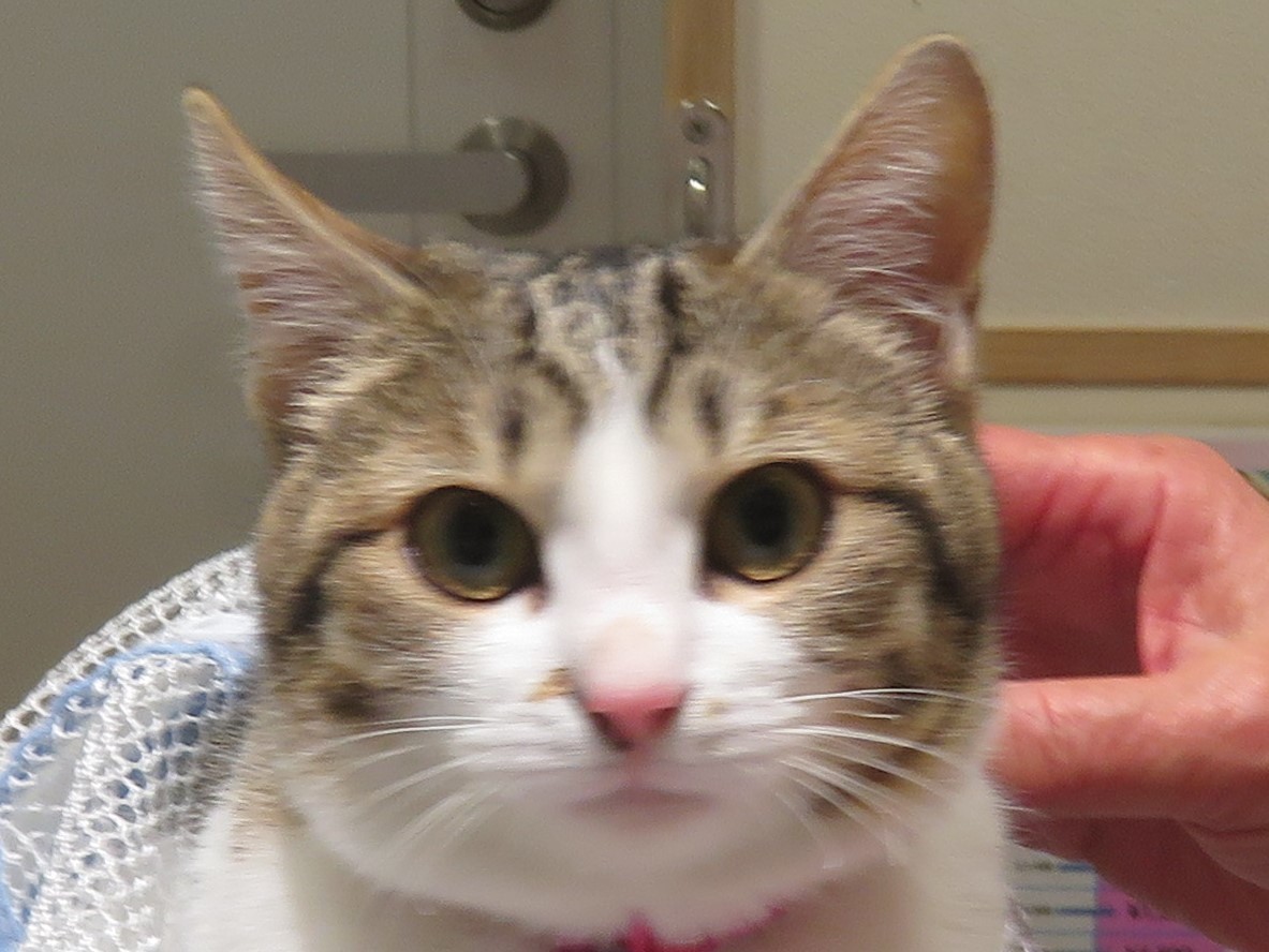 3 月 26 日の写真_c0174644_13264489.jpg