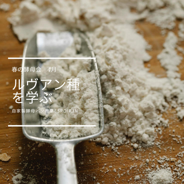 春の酵母会は、粉のおいしさの極み「ルヴァン種」です。夜の酵母会もございます。_c0162653_11362208.jpg