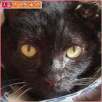 エリザベスカラーの秘密_a0389088_16252825.jpg