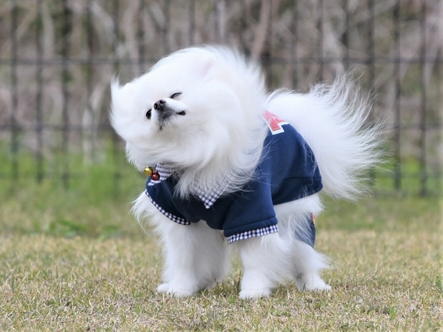 日曜くらいは良いことばかり_d0360206_18224137.jpg