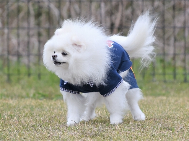 日曜くらいは良いことばかり_d0360206_18224155.jpg