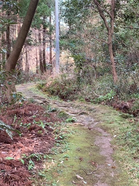 伊勢神宮125社めぐり ただいま旅の途中_c0125114_18334124.jpg