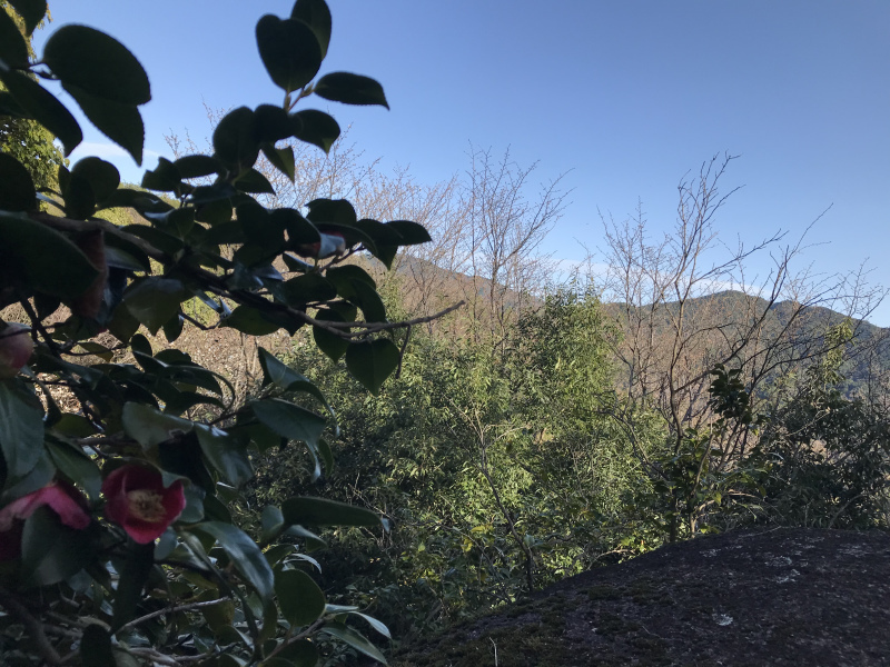 東天狗岳_a0271932_19463690.jpeg