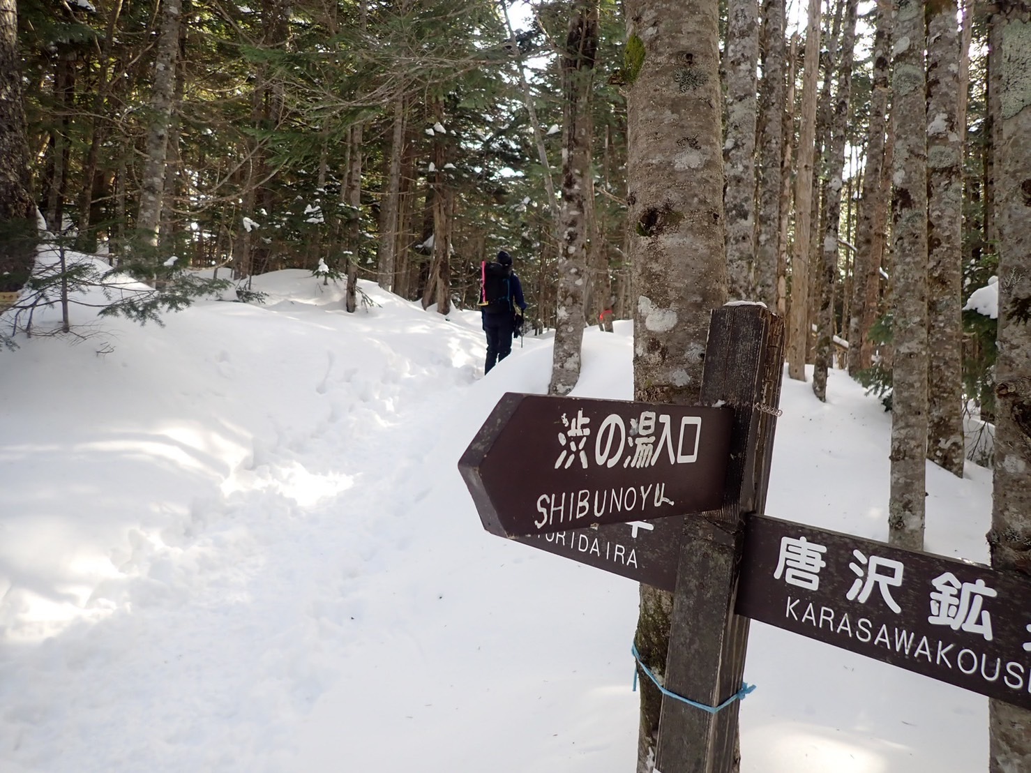 東天狗岳_a0271932_20025398.jpeg