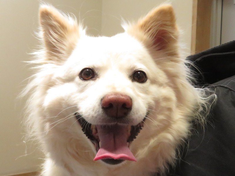 3 月 27 日の写真_c0174644_12525566.jpg