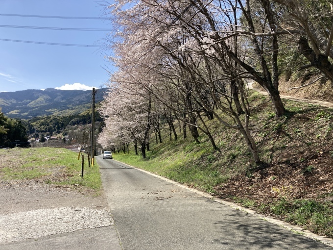 採銅所駅～添田公園桜ライド_f0229250_19442013.jpg