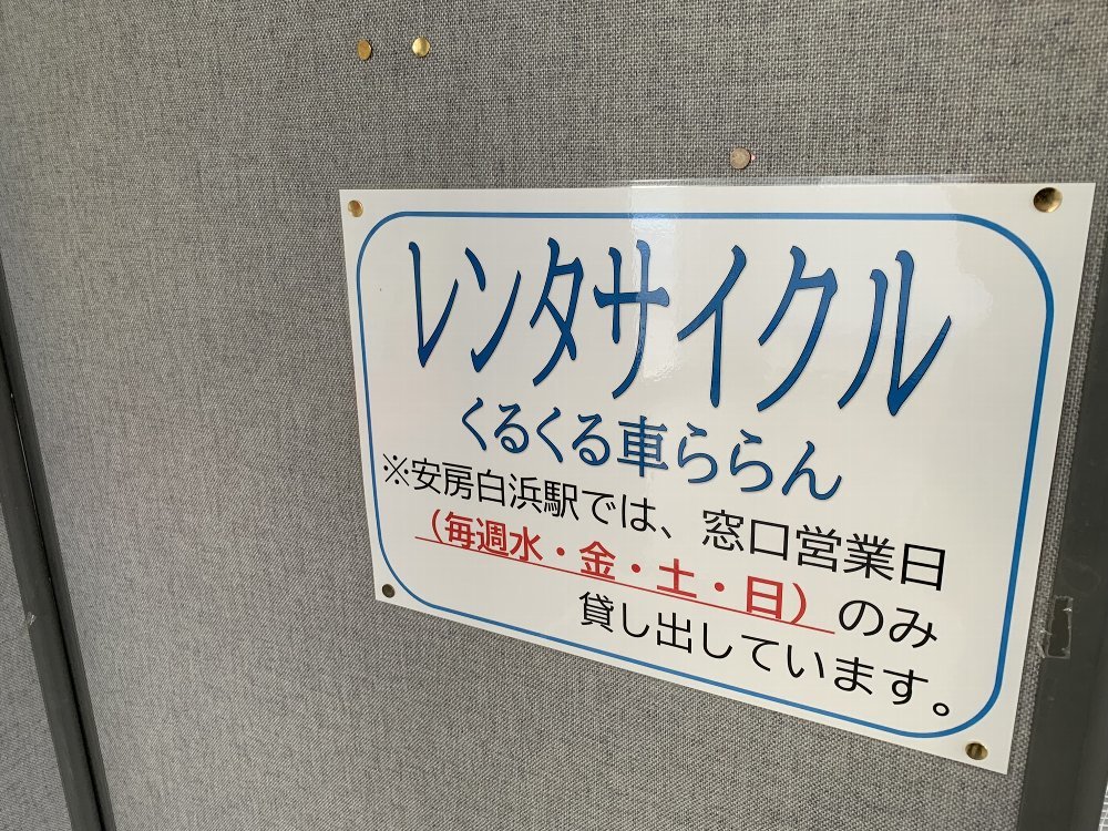☆海辺で貝殻拾い・房総・根本海岸☆_c0092953_10060802.jpg