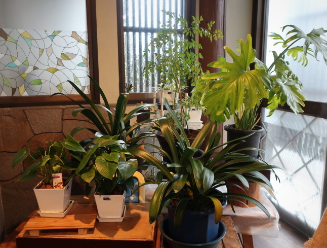 喫茶 ほのか堂 * 土・日・月曜日営業のほっこり和カフェ♪_f0236260_22225723.jpg