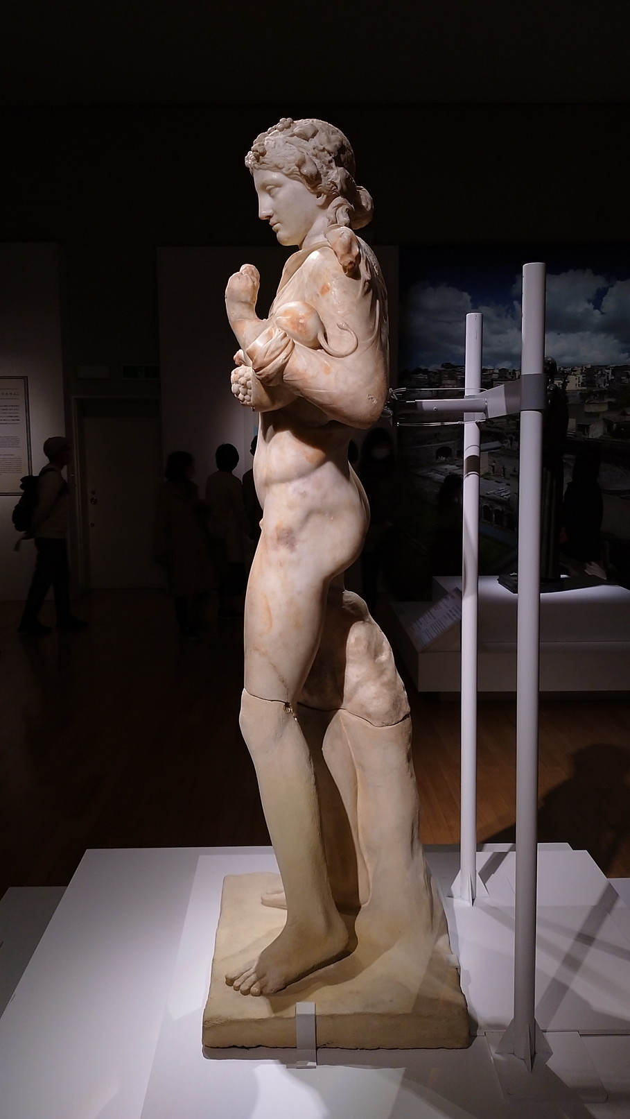 ポンペイ展へ≪ビキニのウェヌス≫に逢いに行く_c0002171_12230689.jpg