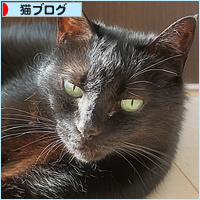 ひなたぼっこの、その場所は・・・_a0389088_16550128.jpg