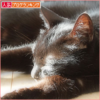 ひなたぼっこの、その場所は・・・_a0389088_16550163.jpg
