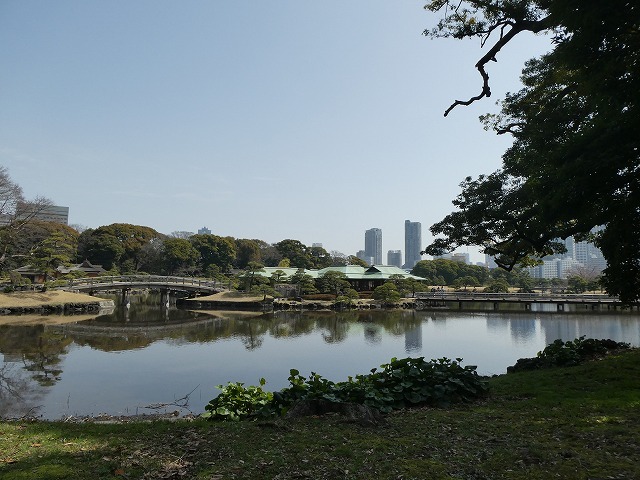 思い出の「私たちのベンチ」♪　浜離宮からウォーターズ竹芝へのぼっち散歩♪_b0287088_21401861.jpg