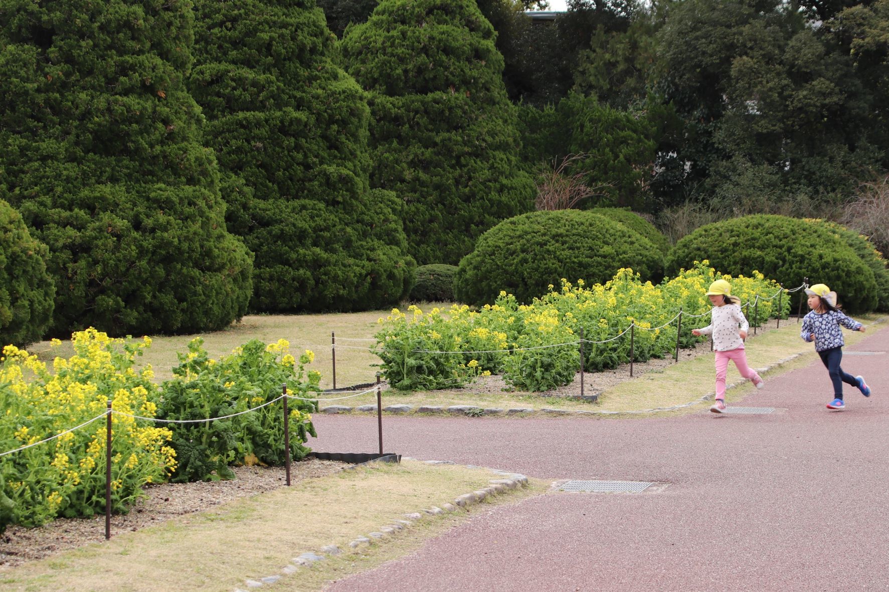 京都府立植物園　春の花を見つけに_e0048413_19455935.jpg