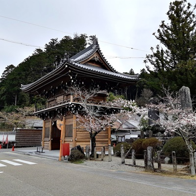 お花見シーズン その1_f0129726_16264624.jpg