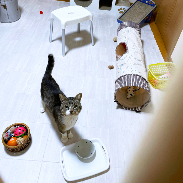 どどーん!と!_d0355333_23393799.jpg