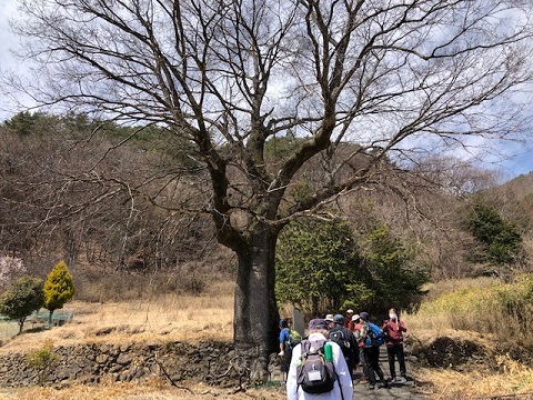 甲斐のむかし道・小尾街道を歩く第6回 ２分の１_f0019247_22203234.jpg