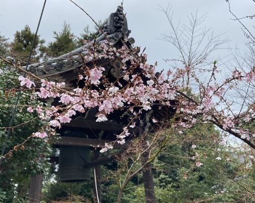 ’22 京都　春の旅その2_e0326953_22070695.jpeg