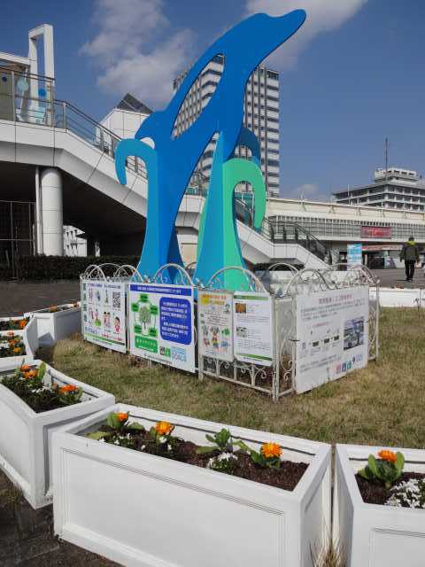 名古屋港水族館前のプランター花壇の植栽R4.3.23_d0338682_14072537.jpg