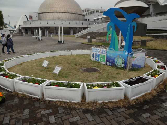 名古屋港水族館前のプランター花壇の植栽R4.3.23_d0338682_14114714.jpg