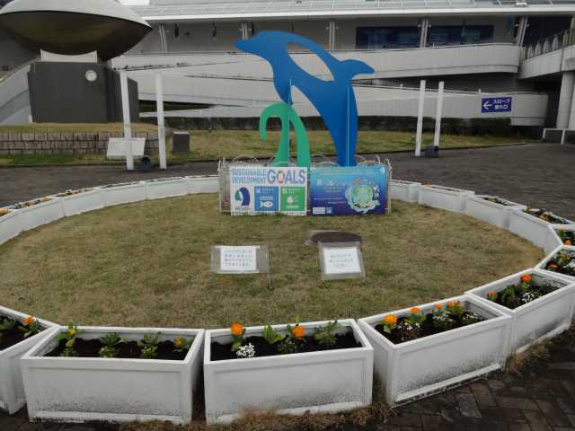 名古屋港水族館前のプランター花壇の植栽R4.3.23_d0338682_14123027.jpg
