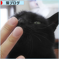 思いついた!しおりに猫の毛_a0389088_16265024.jpg