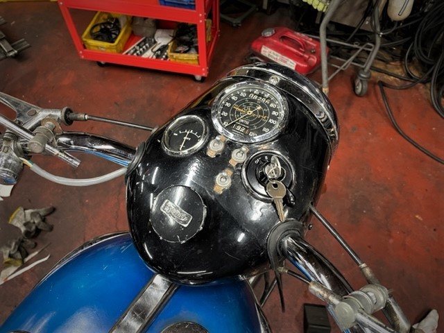寅年なので_a0165898_18590965.jpg