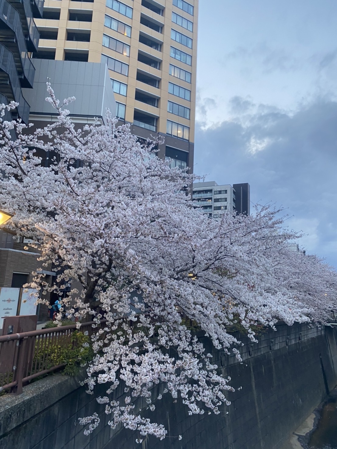 スタート!_d0171222_18005130.jpeg
