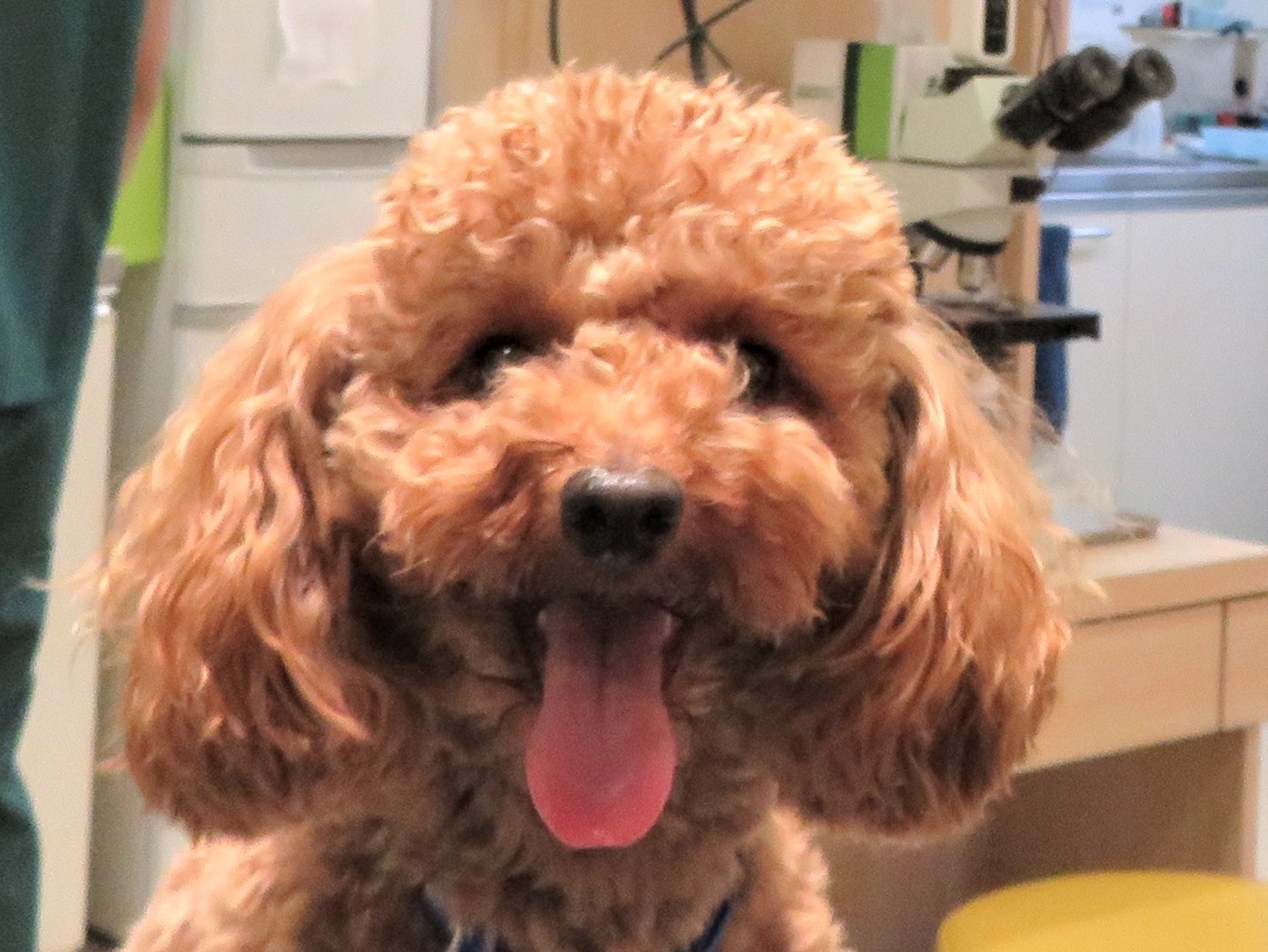 3 月 29 日の写真_c0174644_13501628.jpg
