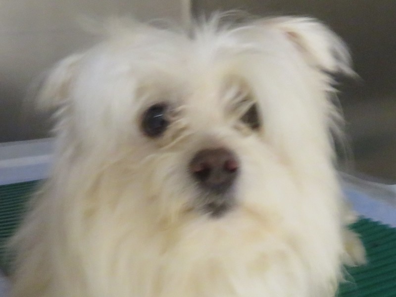 3 月 29 日の写真_c0174644_20422005.jpg