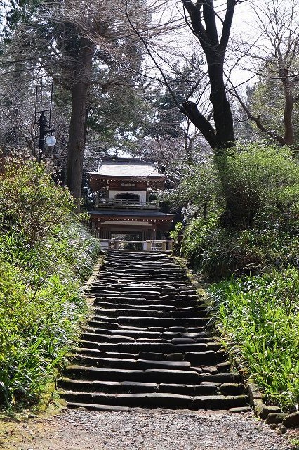 北鎌倉　春さんぽ　浄智寺　①_a0391145_16281649.jpg