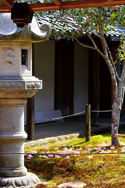北鎌倉　春さんぽ　浄智寺　②_a0391145_16560077.jpg