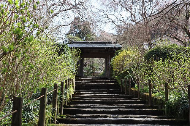 北鎌倉　春さんぽ　明月院_a0391145_17065237.jpg