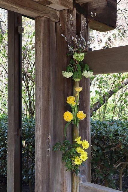 北鎌倉　春さんぽ　明月院_a0391145_17080001.jpg