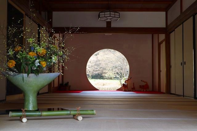 北鎌倉　春さんぽ　明月院_a0391145_17113337.jpg