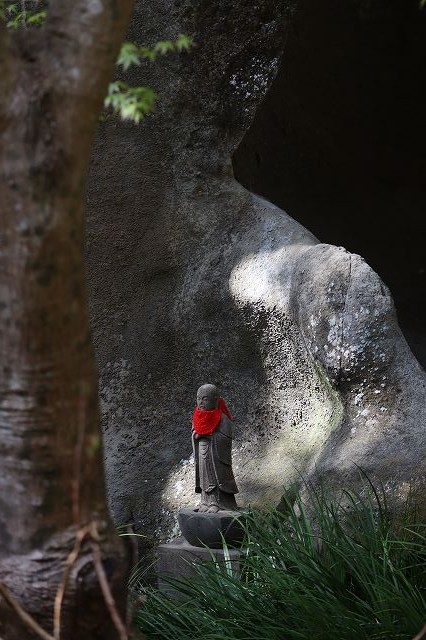 北鎌倉　春さんぽ　明月院_a0391145_17132586.jpg