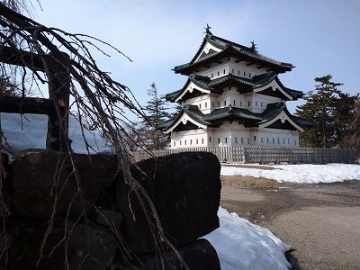 「弘前公園さくら情報」発表の様子と開花予想について◎_d0131668_12035863.jpg