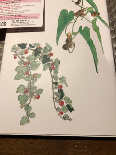 里山料理ノオト_f0363168_20481460.png