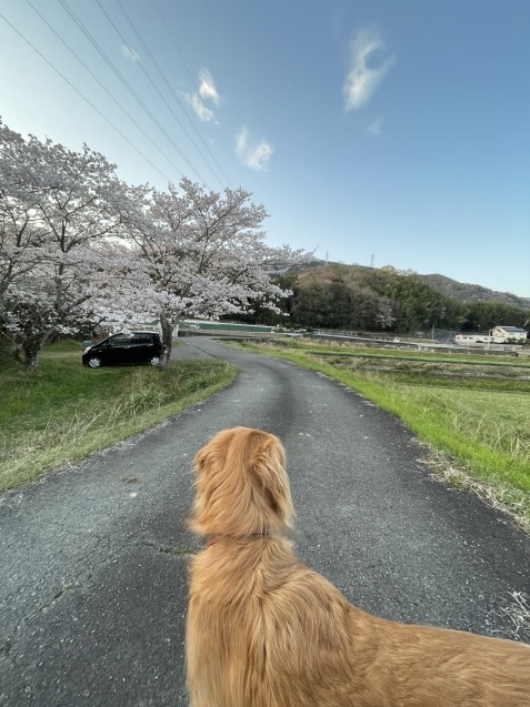 別れ。_a0394574_23563197.jpeg