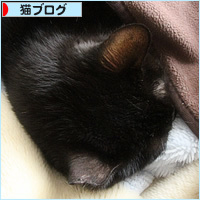 おもらしイレーネ、今日の寝床は・・・?_a0389088_16020031.jpg