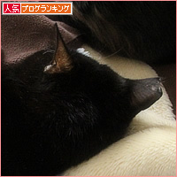 おもらしイレーネ、今日の寝床は・・・?_a0389088_16020089.jpg