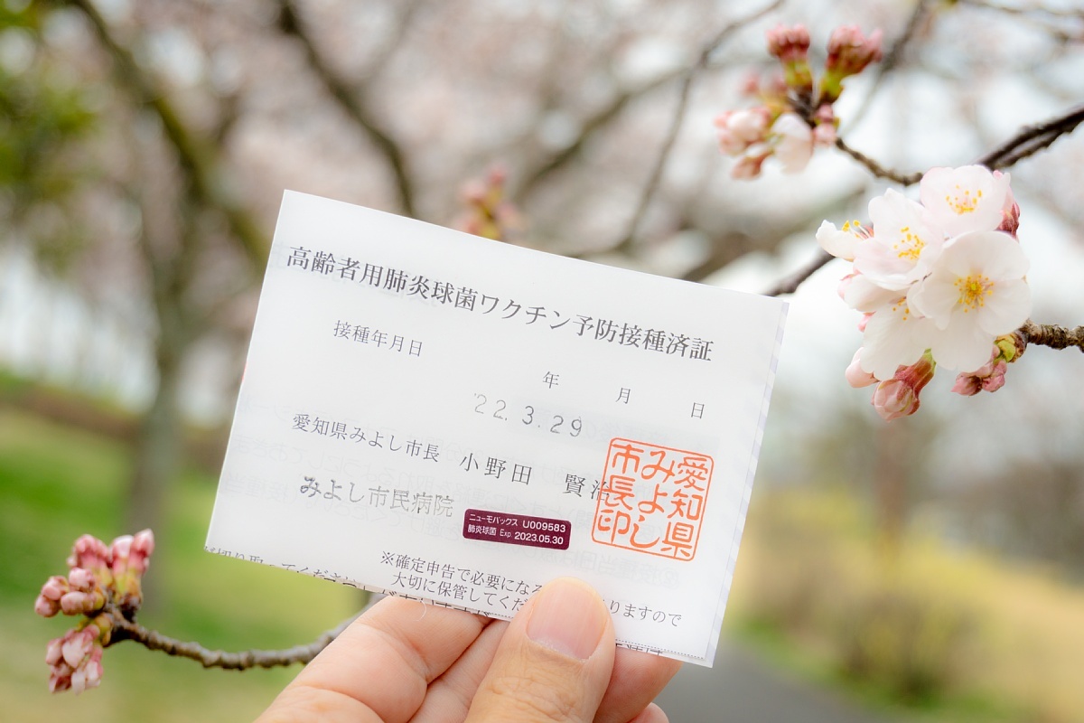 フルスペクトルカメラで七分咲きの花見_d0353489_16432635.jpg