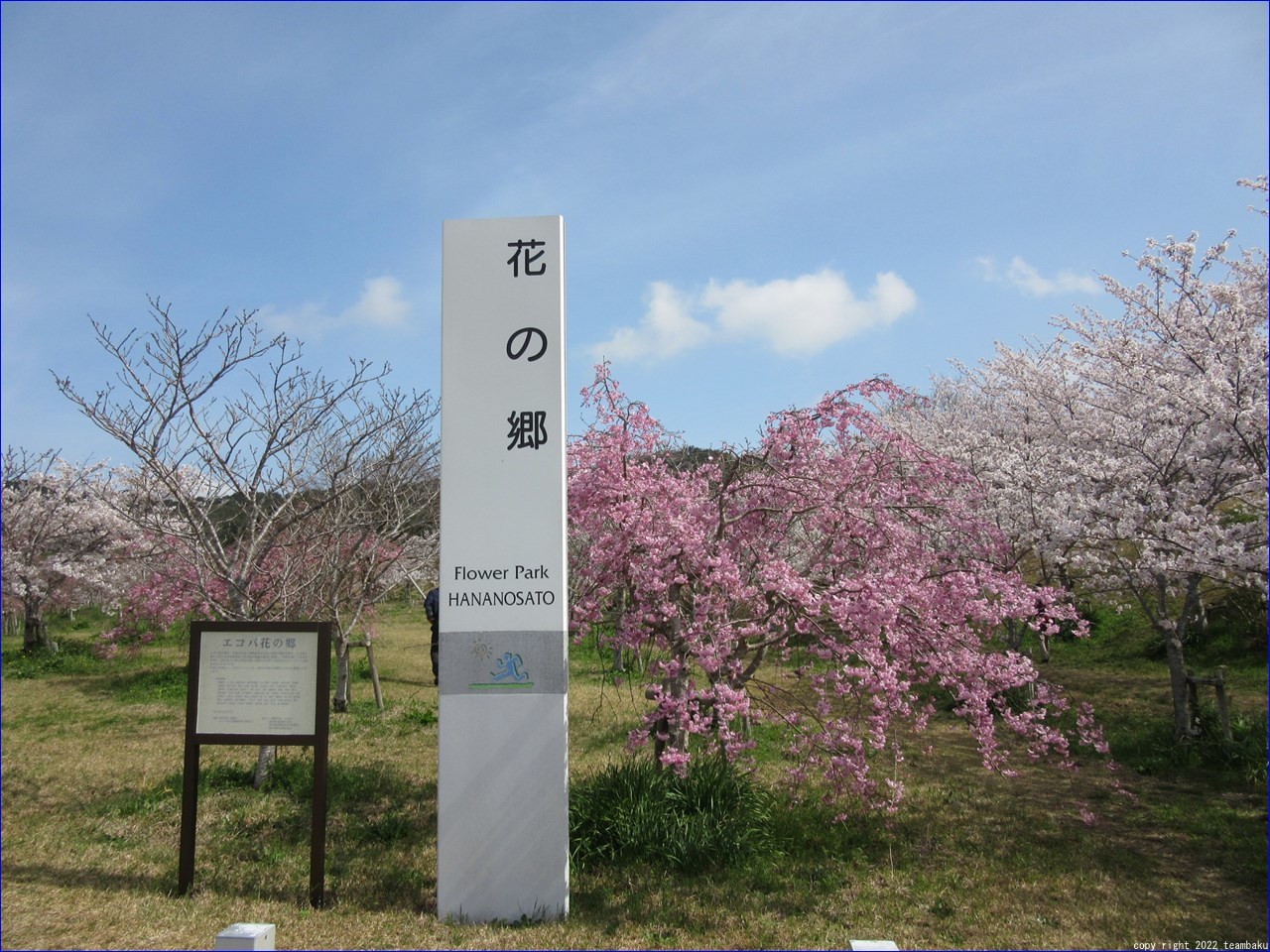 エコパ花の郷とエコパの森ウォーキング_c0376508_18393221.jpg