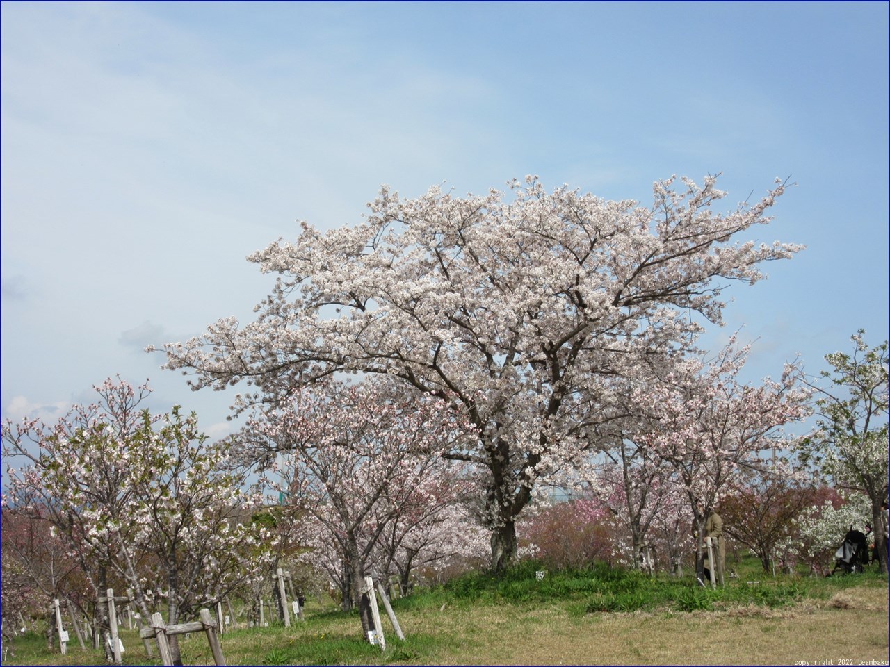 エコパ花の郷とエコパの森ウォーキング_c0376508_18400856.jpg