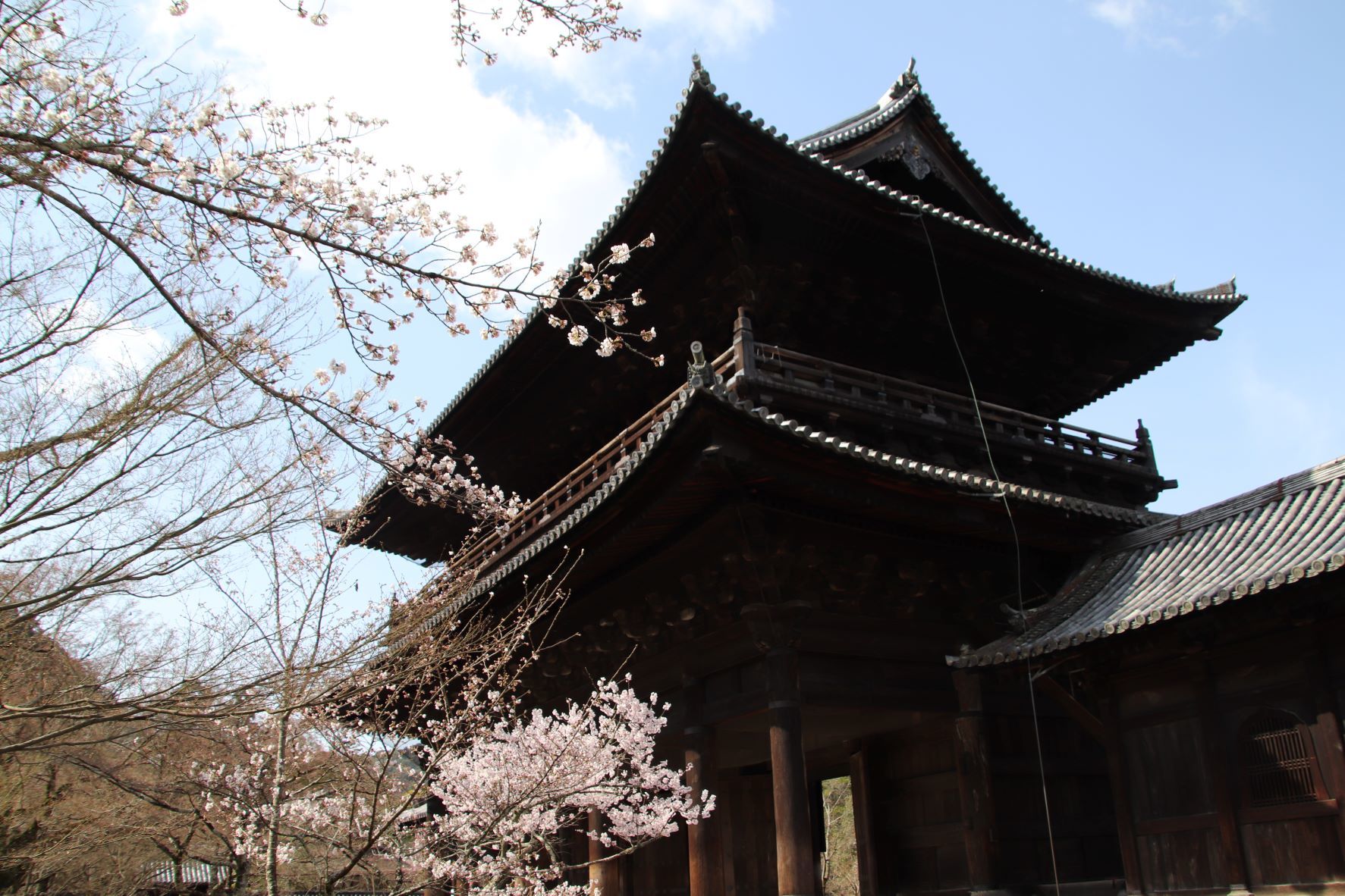 南禅寺　桜の盛りが始った_e0048413_21011606.jpg