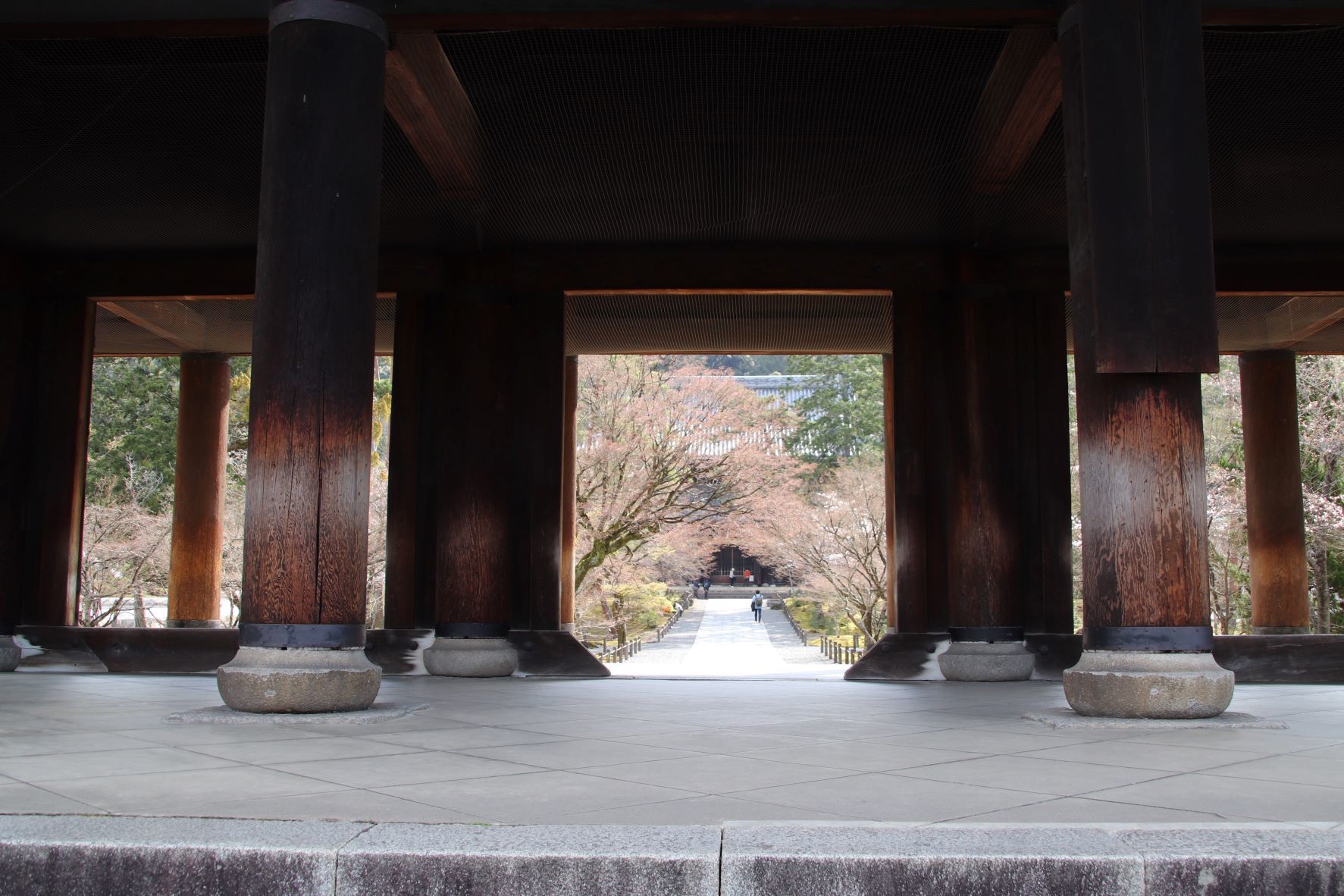 南禅寺　桜の盛りが始った_e0048413_21013445.jpg