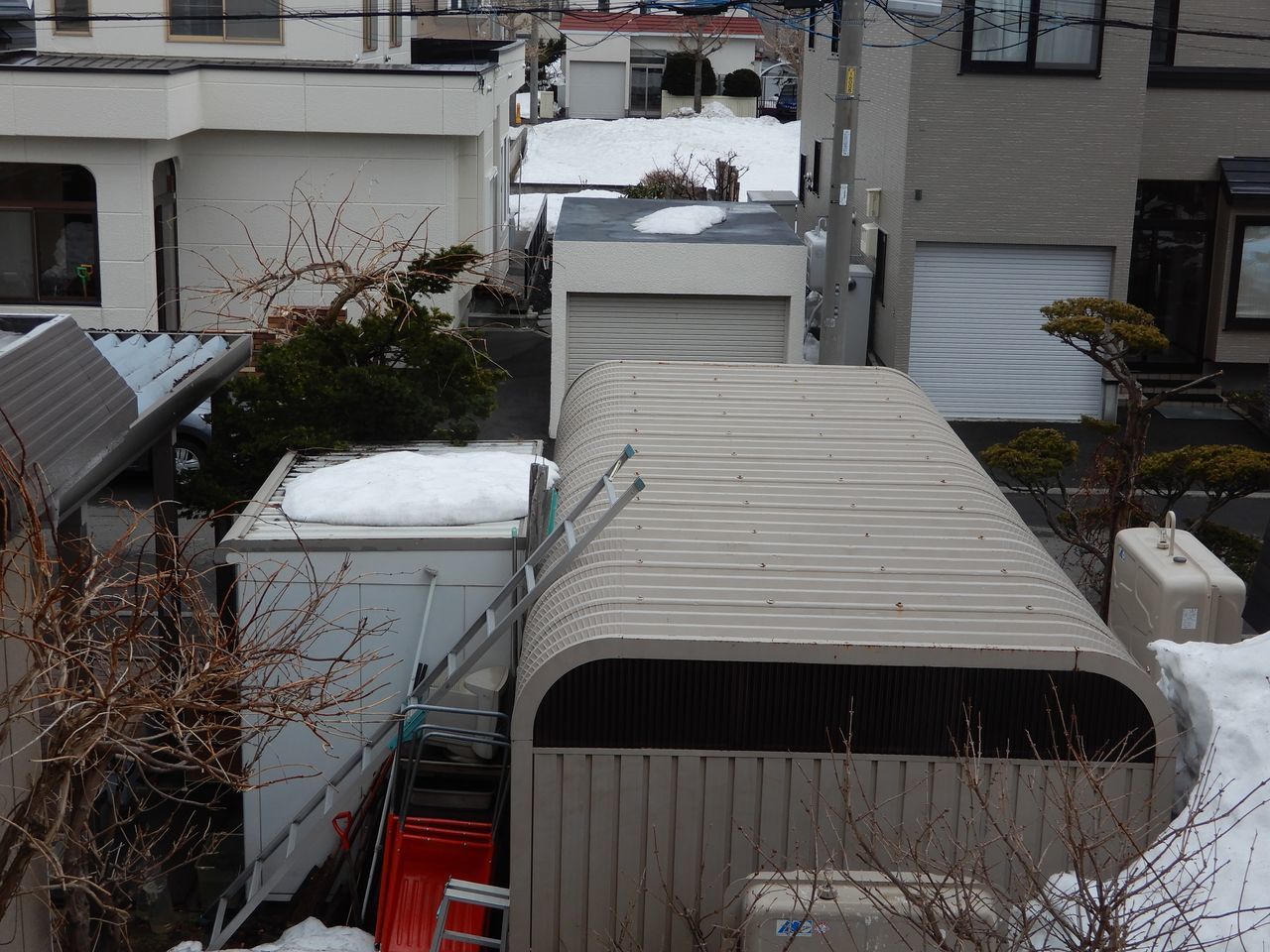 さすがに春を感じる_c0025115_20585935.jpg